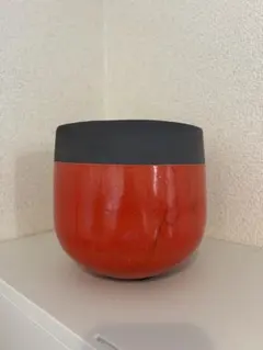 2026年最新】domani ドマーニ 鉢の人気アイテム - メルカリ