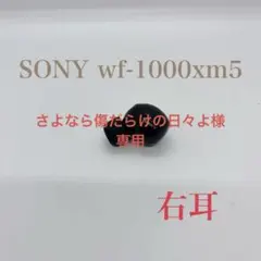 2026年最新】SONY wf-1000xm5 右耳の人気アイテム - メルカリ