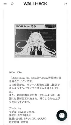 2026年最新】Skypad shiny soraの人気アイテム - メルカリ