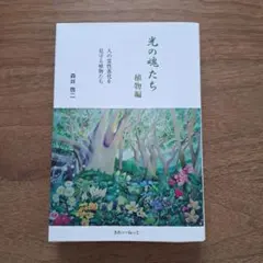 2026年最新】森井啓二 光の魂たちの人気アイテム - メルカリ