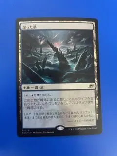 2026年最新】湿った墓 Foilの人気アイテム - メルカリ