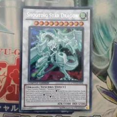 2026年最新】シューティングスタードラゴン シークレットの人気