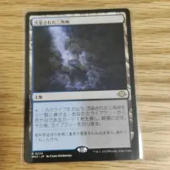 2026年最新】汚染された三角州の人気アイテム - メルカリ