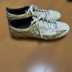 2026年最新】ミズノアルファ PROの人気アイテム - メルカリ