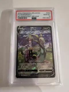 2026年最新】ジャローダv csr psa10の人気アイテム - メルカリ