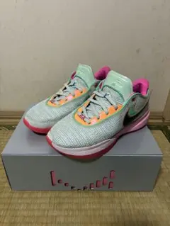 2026年最新】nike レブロン20 タイムマシーンの人気アイテム - メルカリ