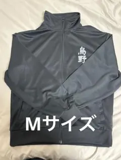 2026年最新】ハイキュー ジャージ 10周年 烏野の人気アイテム - メルカリ