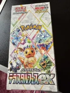 2026年最新】ポケモンテラスタル boxの人気アイテム - メルカリ