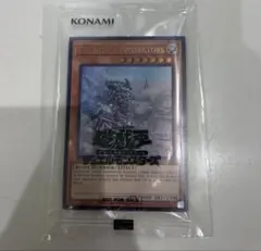 2026年最新】日本選手権 プロモの人気アイテム - メルカリ