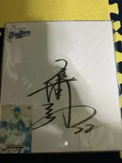 2026年最新】佐々木主浩サイン大魔神の人気アイテム - メルカリ