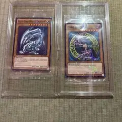 2026年最新】wcs2015 ブルーアイズの人気アイテム - メルカリ