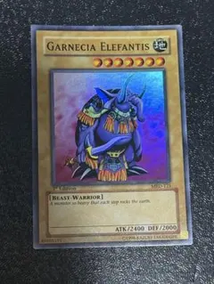 2026年最新】ガーネシア エレファンティスの人気アイテム - メルカリ