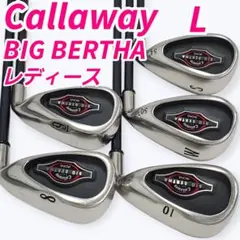 2026年最新】ビッグバーサ アイアン レディースの人気アイテム - メルカリ