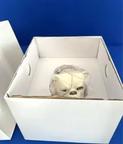 2026年最新】ロイヤルドルトン ブルドッグの人気アイテム - メルカリ