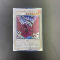 2026年最新】ブラックローズ シークレットの人気アイテム - メルカリ