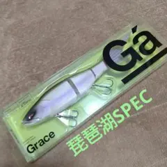 2026年最新】ガラパゴス グレイス240fの人気アイテム - メルカリ