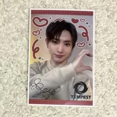 2026年最新】tempest ルーの人気アイテム - メルカリ