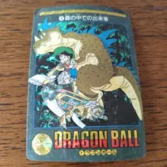 2026年最新】ドラゴンボール カードダス 森の中での出来事の人気