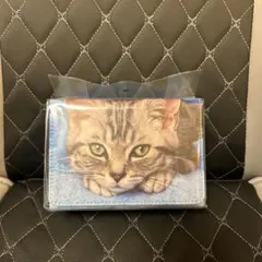 2026年最新】合皮製デッキケースwの人気アイテム - メルカリ