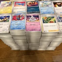 m49614093800_1.jpg?1772883285