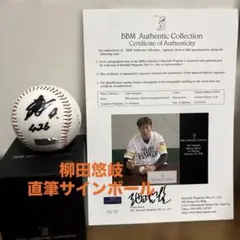 2026年最新】柳田サインボールの人気アイテム - メルカリ
