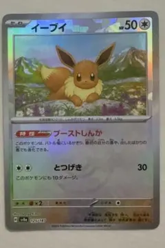 2026年最新】テラスタルフェス イーブイ マスターボールの人気アイテム