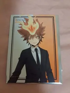 2026年最新】沢田綱吉の人気アイテム - メルカリ