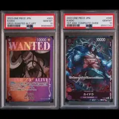 2026年最新】カイドウ 手配書 psa10の人気アイテム - メルカリ