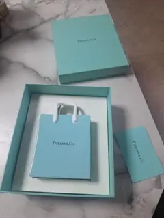 2026年最新】ティファニー 置物 バッグの人気アイテム - メルカリ