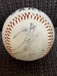 2026年最新】津田恒実 サインの人気アイテム - メルカリ