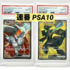 2連番PSA10】レシラム ゼクロム 25周年アニバーサリーコレクション