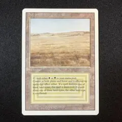 2026年最新】サバンナ mtgの人気アイテム - メルカリ