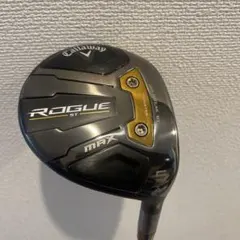 2026年最新】rogue st max 5wの人気アイテム - メルカリ