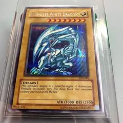 2026年最新】青眼 ddsの人気アイテム - メルカリ