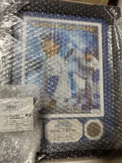 2026年最新】ドジャース 大谷翔平 50-50達成記念ダブルコインフォト