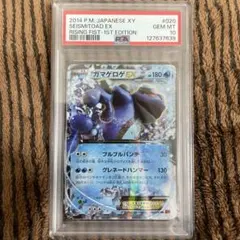 2026年最新】ガマゲロゲex psa10の人気アイテム - メルカリ
