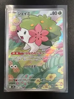 2026年最新】シェイミー arの人気アイテム - メルカリ