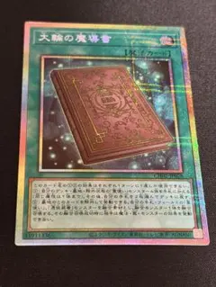 2026年最新】大輪の魔導書の人気アイテム - メルカリ