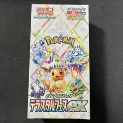 2026年最新】テラスタルフェス シュリンク付きの人気アイテム - メルカリ