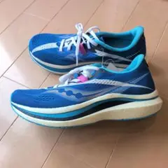 2026年最新】サッカニー エンドルフィンプロ2の人気アイテム - メルカリ