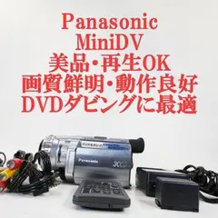 2026年最新】nv-gs100の人気アイテム - メルカリ