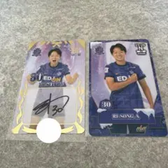 2026年最新】サンフレッチェ広島 オンサイトカードの人気アイテム