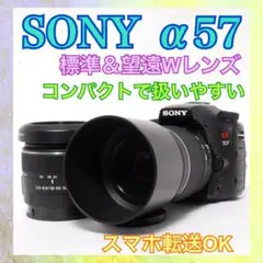 2026年最新】α65 レンズの人気アイテム - メルカリ