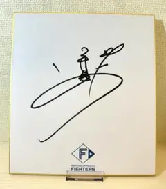 2026年最新】金村尚真 サインの人気アイテム - メルカリ