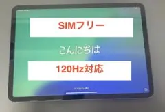 2026年最新】ipad pro 11 第2世代 ジャンクの人気アイテム - メルカリ