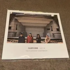 2026年最新】エレファントカシマシ パンフの人気アイテム - メルカリ