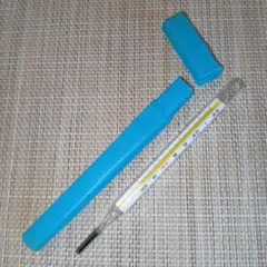 2026年最新】水銀体温計の人気アイテム - メルカリ