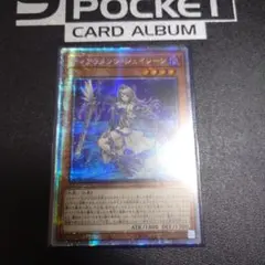 2026年最新】シェイレーン シークレットの人気アイテム - メルカリ