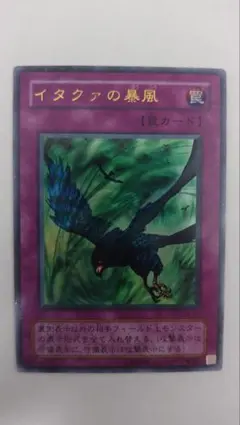 2026年最新】イタクァの暴風の人気アイテム - メルカリ