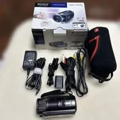 2026年最新】hdr-cx560vの人気アイテム - メルカリ